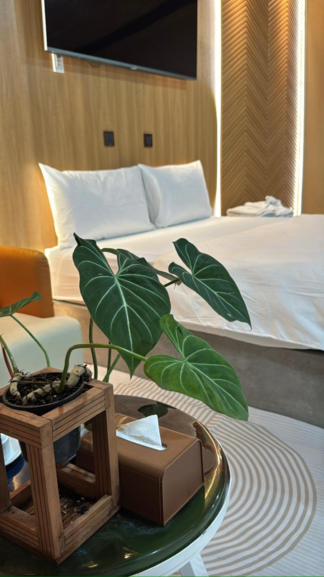 La Garden Homestay Long Xuyên 外观 照片